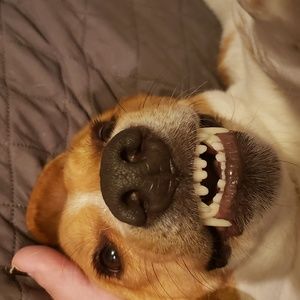 Meet your Posher, Desiree